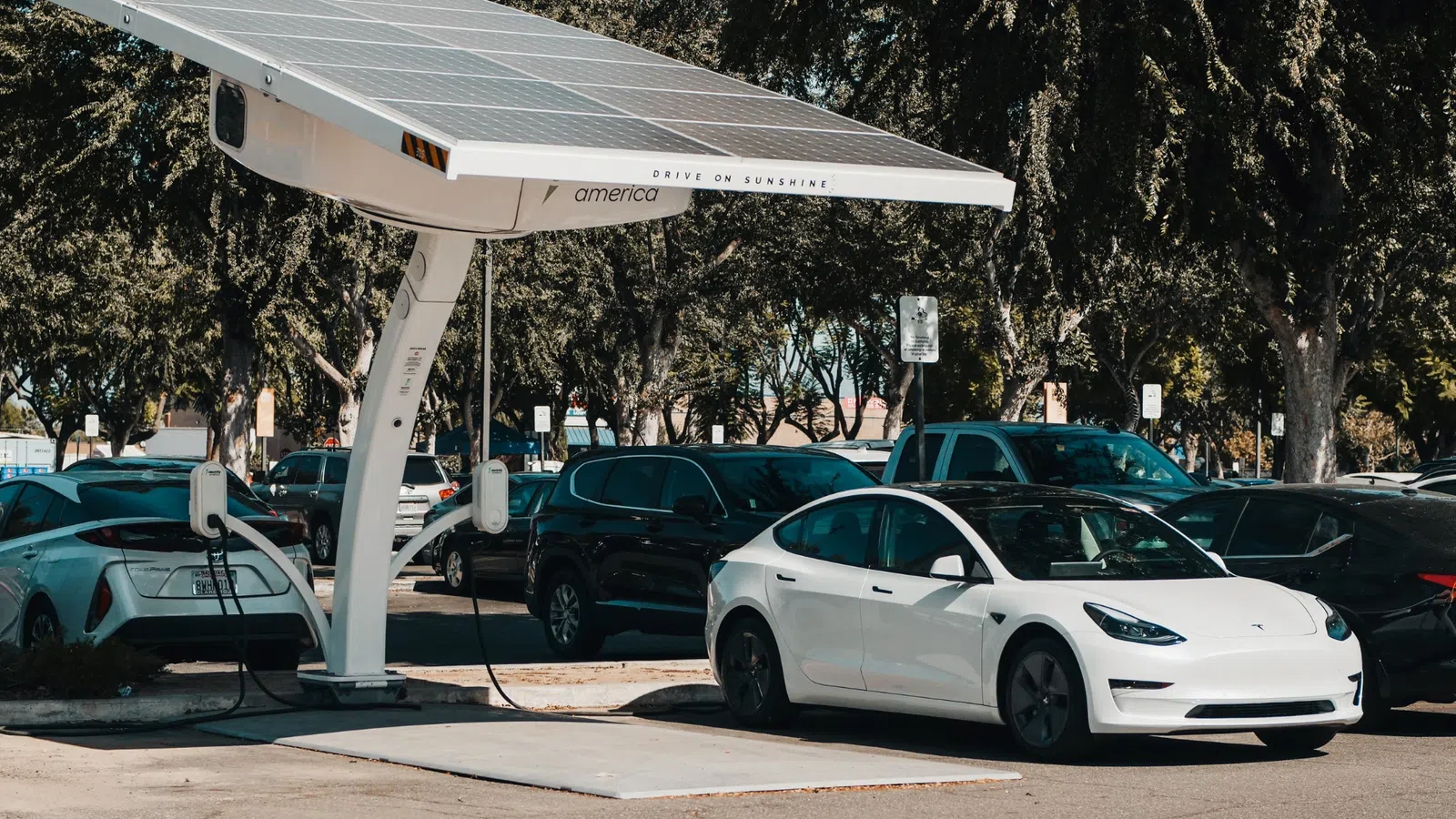 Carros elétricos usados: vale a pena comprar um?