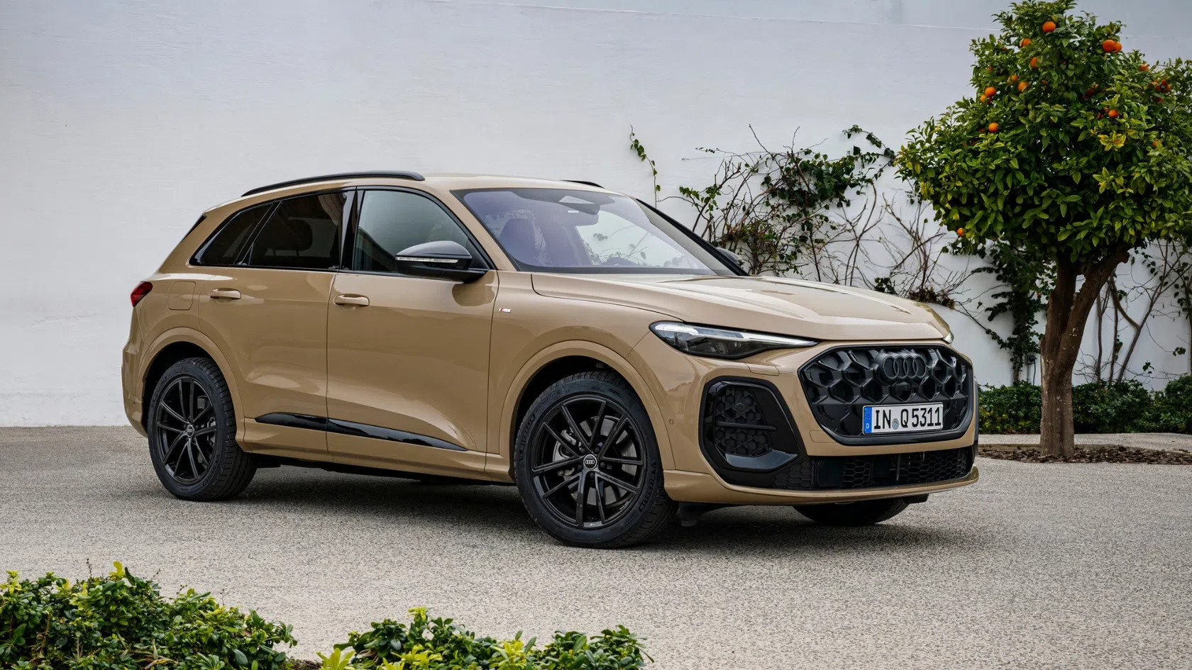 carro familiar suv audi q5 castanho