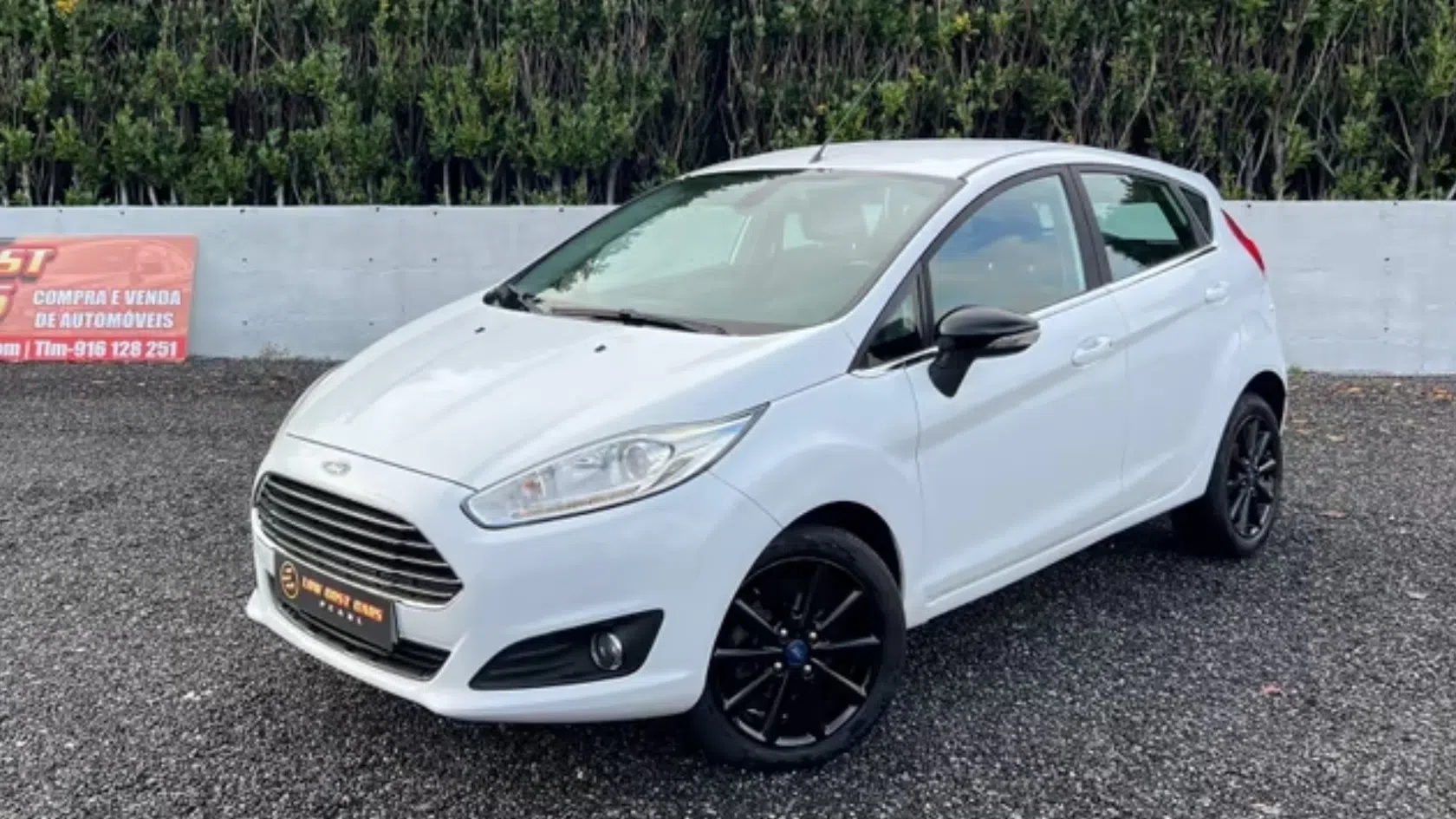Ford Fiesta usado 