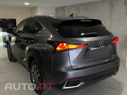 Lexus NX Executive