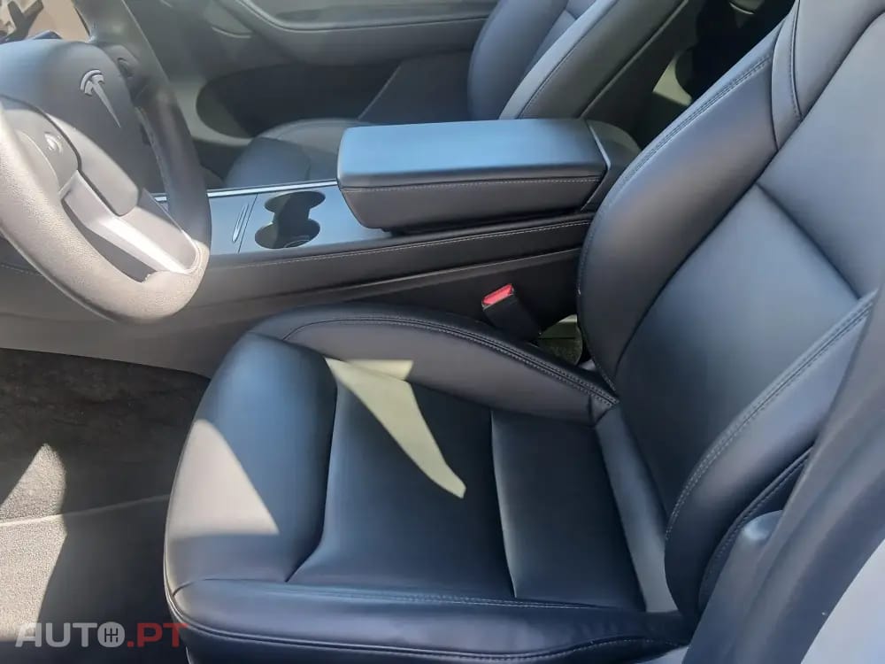 Tesla Model Y Performance Dual Motor AWD