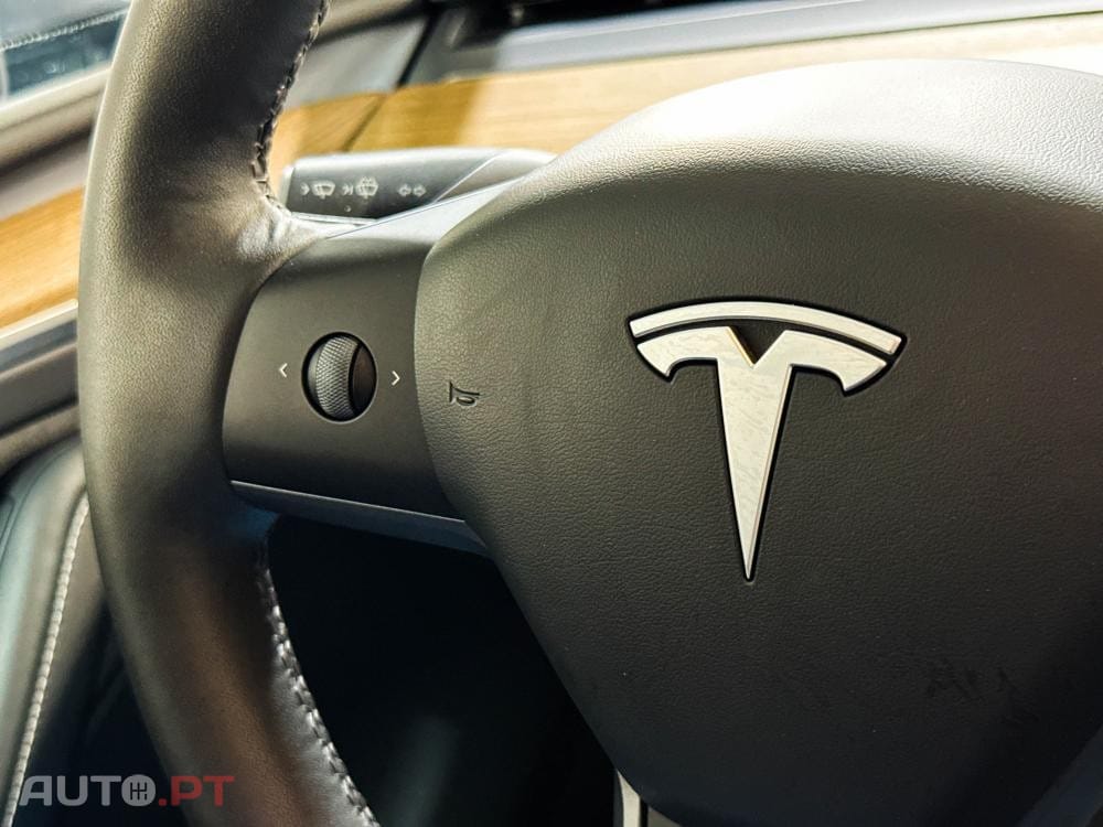 Tesla Model Y Standard