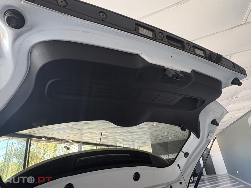 Citroen C4 Cactus 1.6 BlueHDi Shine