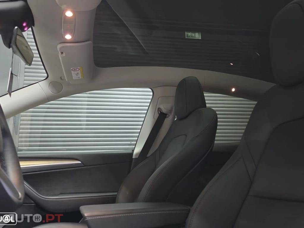 Tesla Model Y Standard