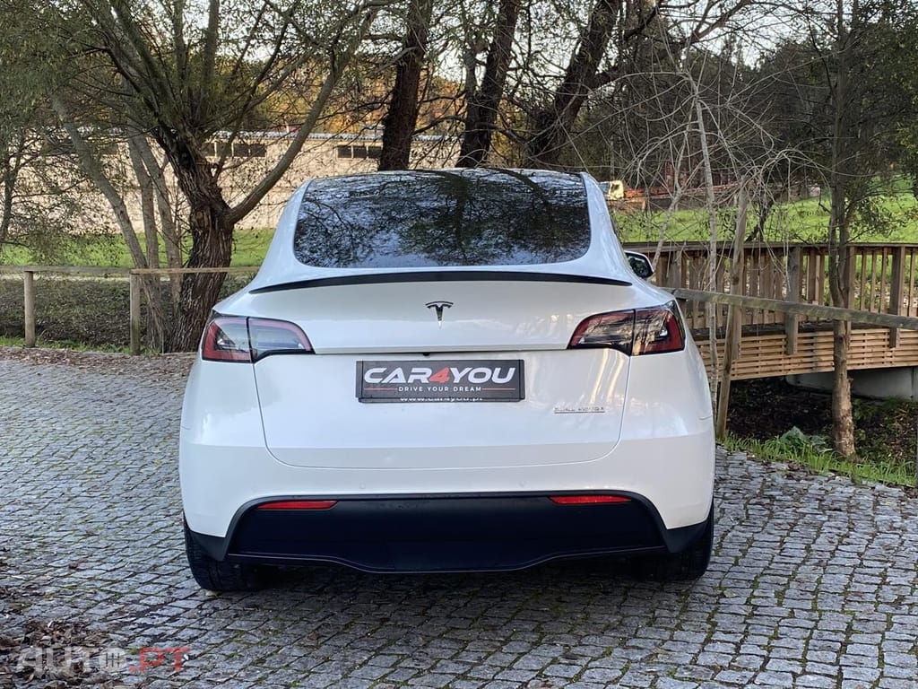 Tesla Model Y PERFORMANCE DUAL MOTOR AWD