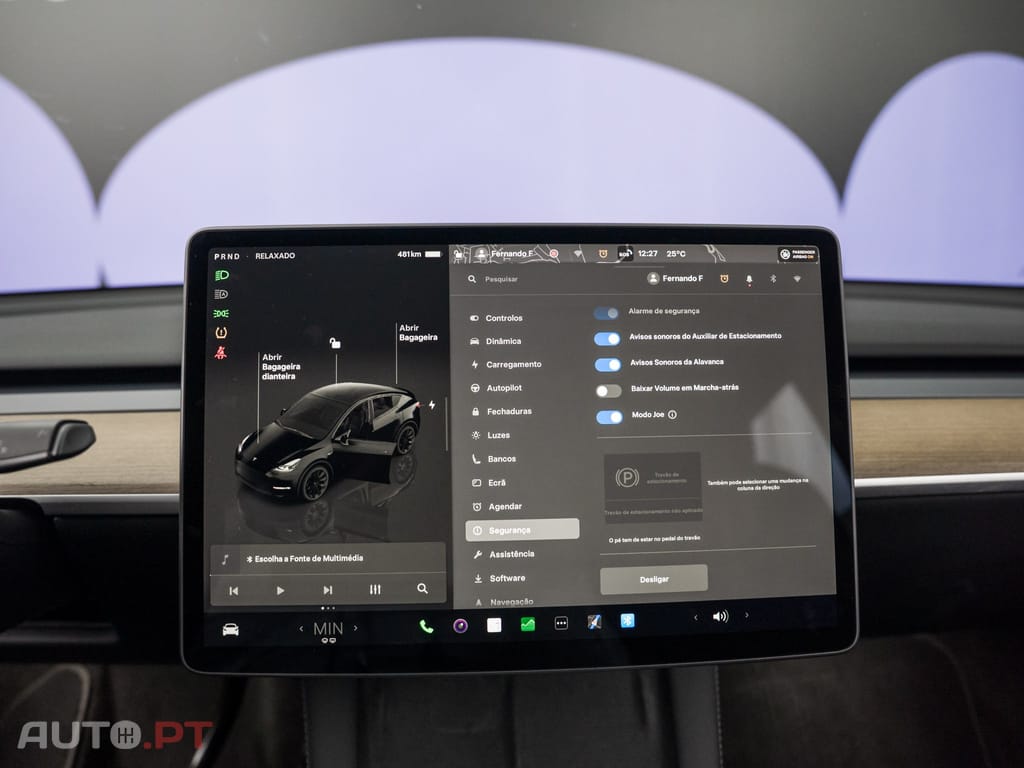 Tesla Model Y Long Range Tração Integral