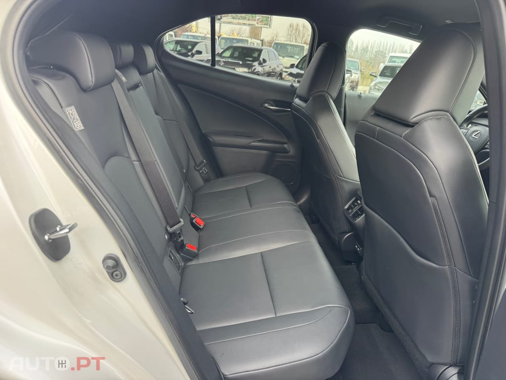 Lexus UX Special Edition (LCA)