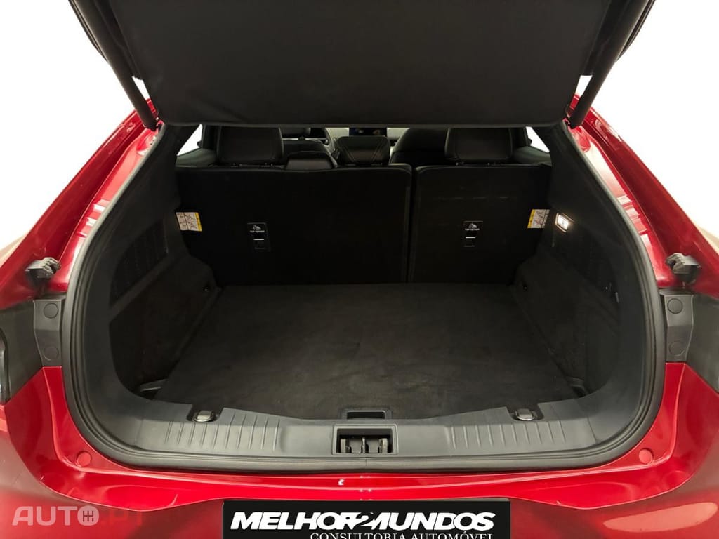 Ford Mustang Mach-E Standard Range