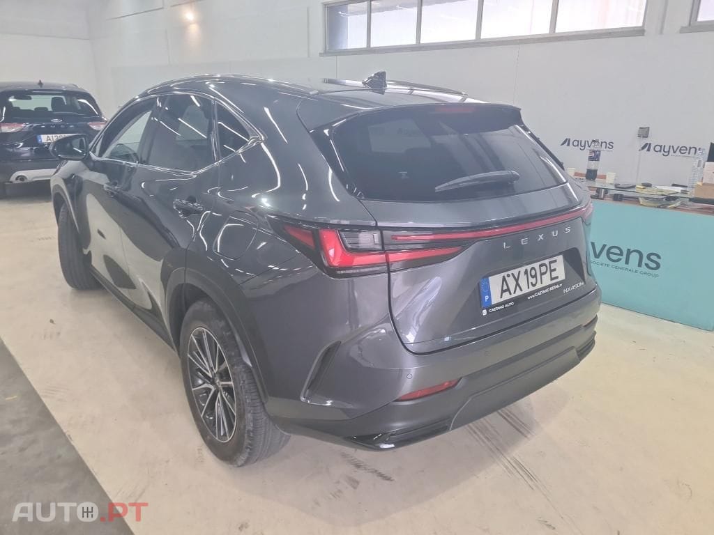 Lexus NX Executive