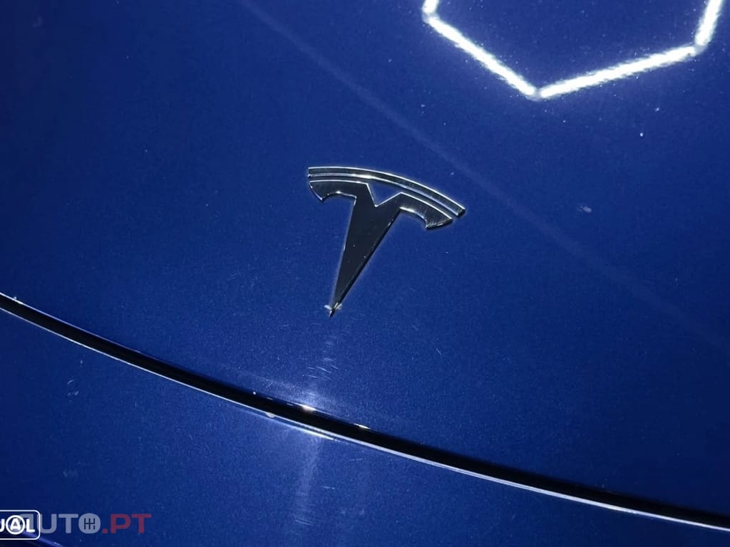 Tesla Model Y Performance Dual Motor AWD