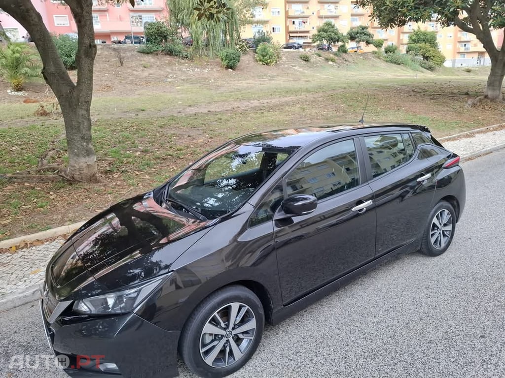 Nissan Leaf Acenta Access