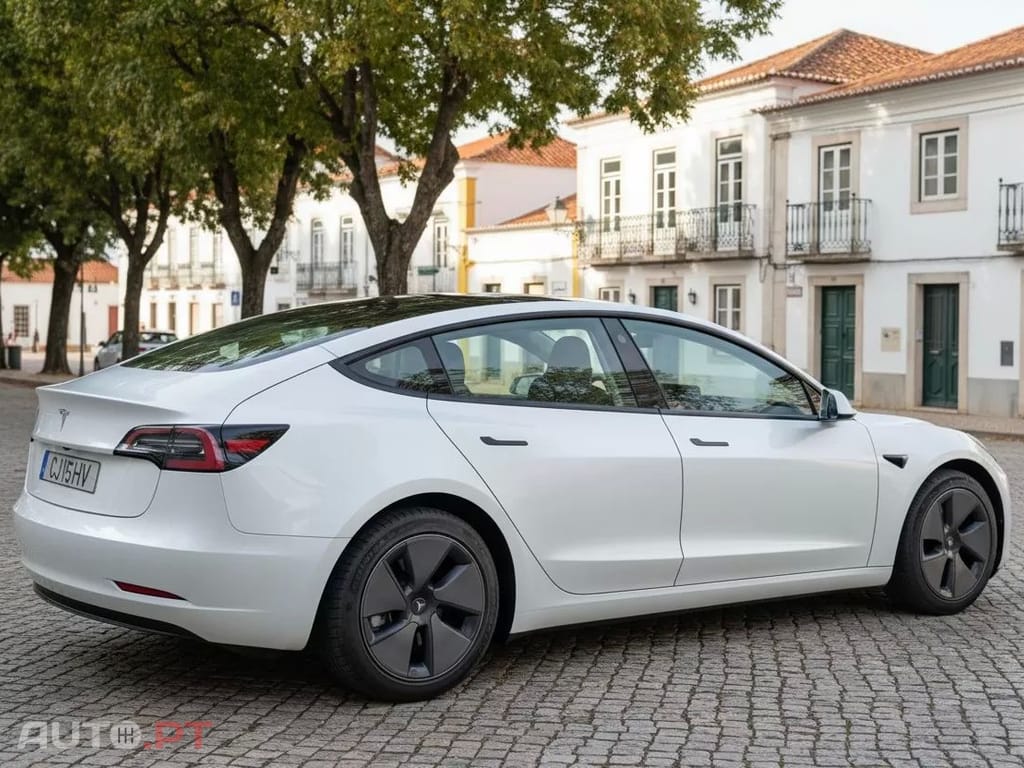 Tesla Model 3 Standard RWD