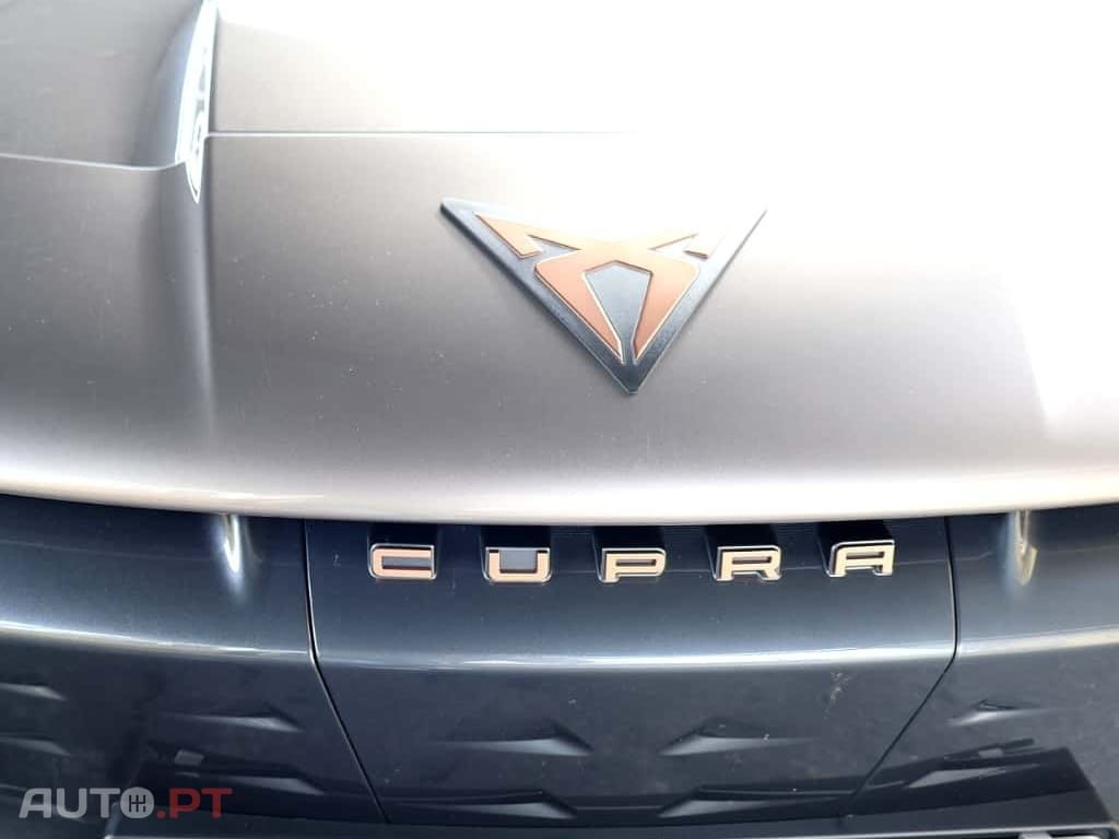 Cupra Tavascan 210 kW/77kWh HA Endurance