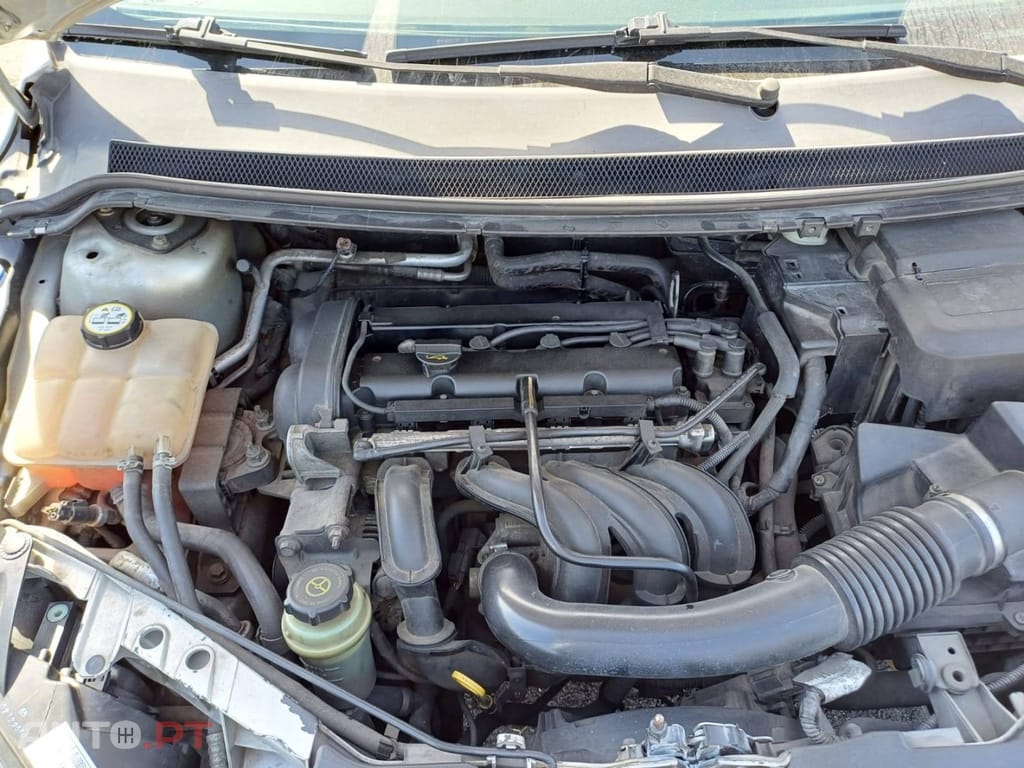 Ford Focus 1.4 16V Sport
