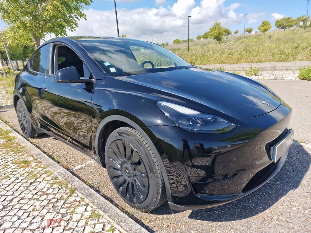 Tesla Model Y RWD