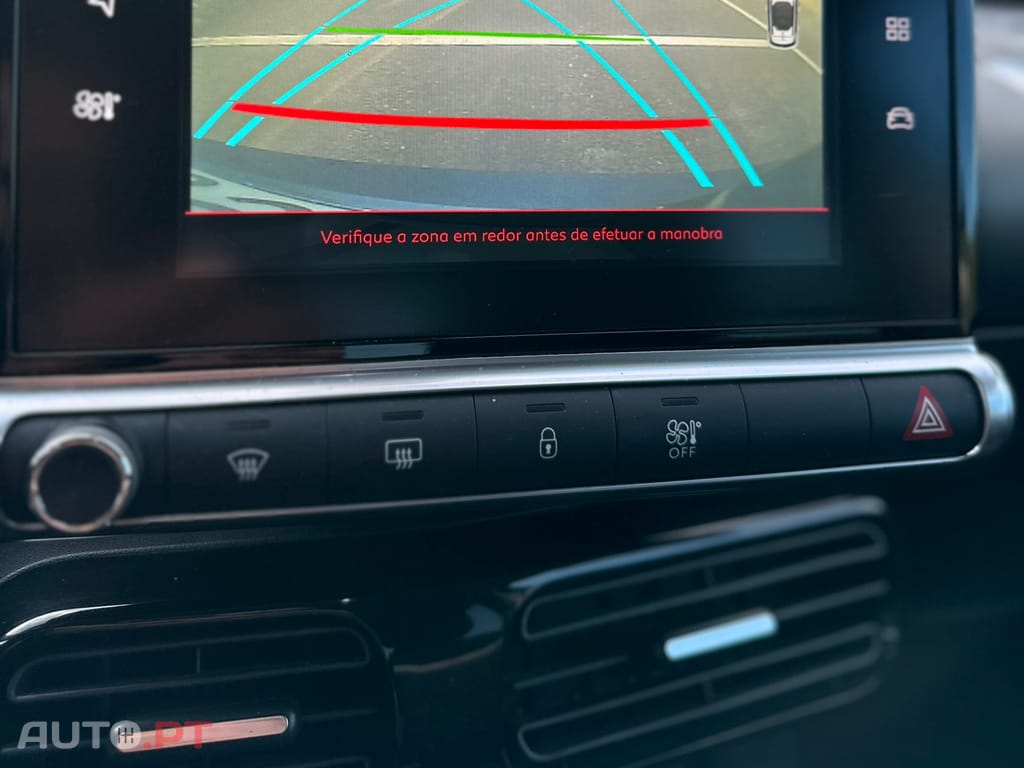 Citroen C4 Cactus 1.6 BlueHDI Shine 100cv