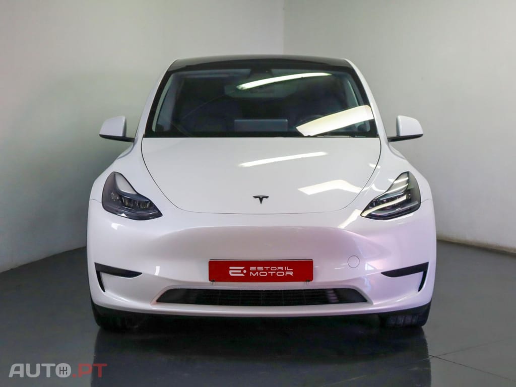 Tesla Model Y Performance Dual Motor AWD