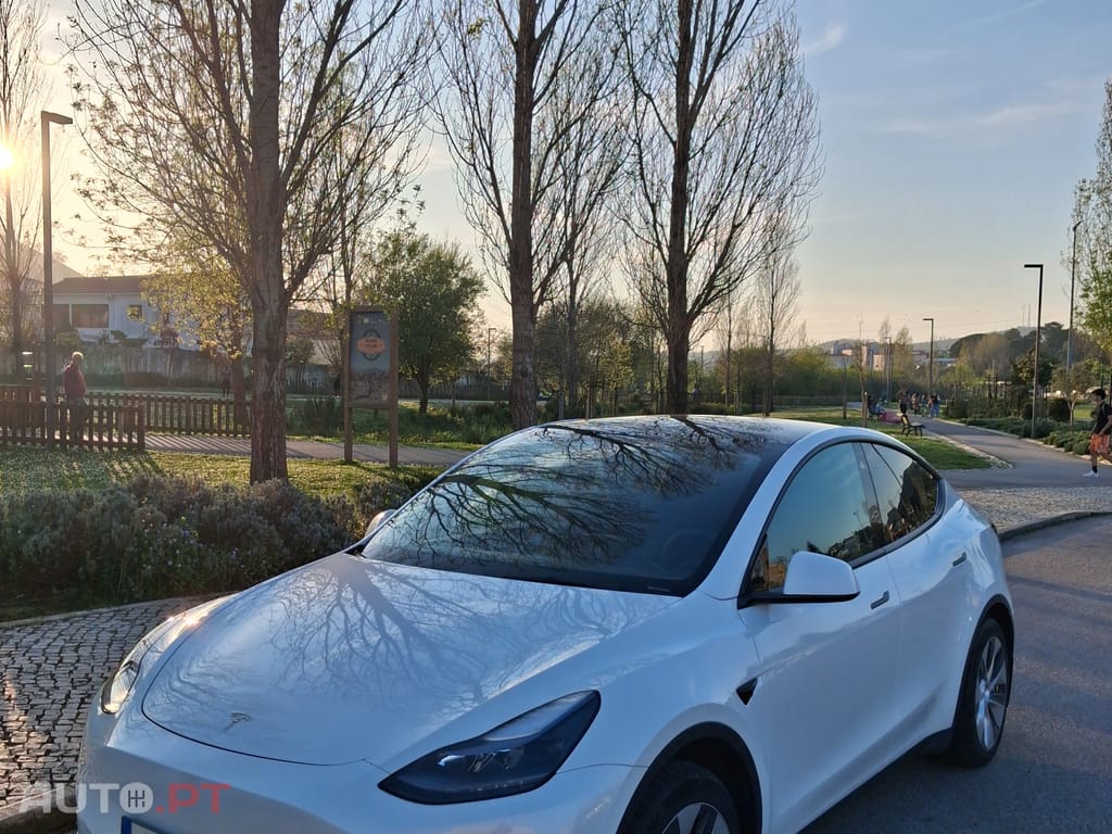 Tesla Model Y RWD