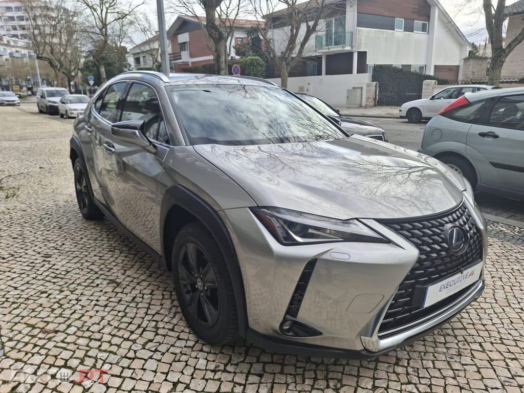 Lexus UX Business