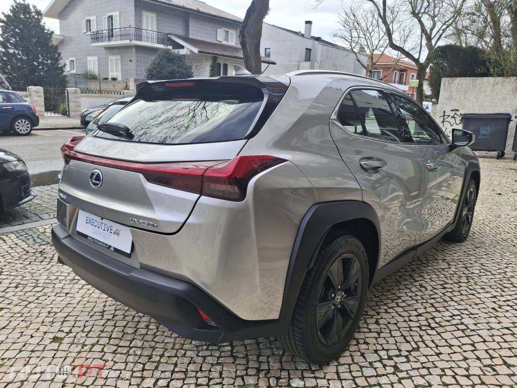 Lexus UX Business