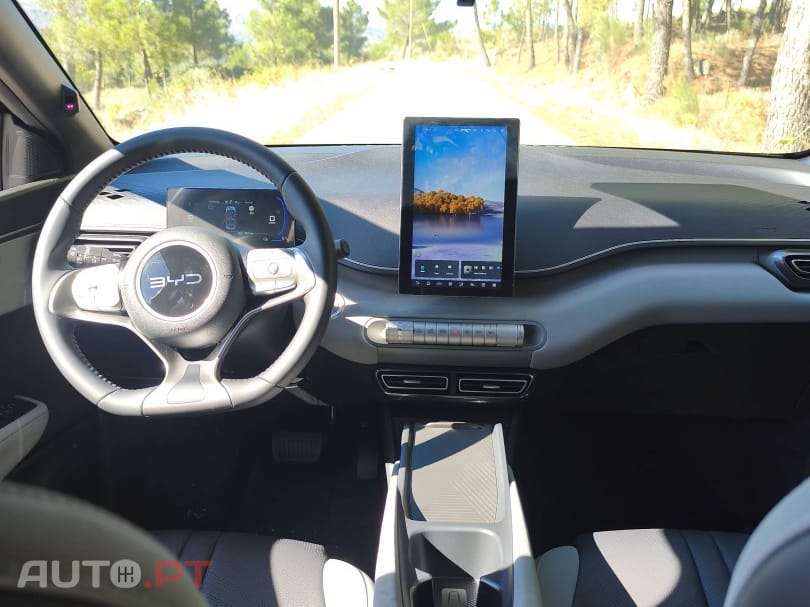 BYD Dolphin Surf 43.2 kWh Boost