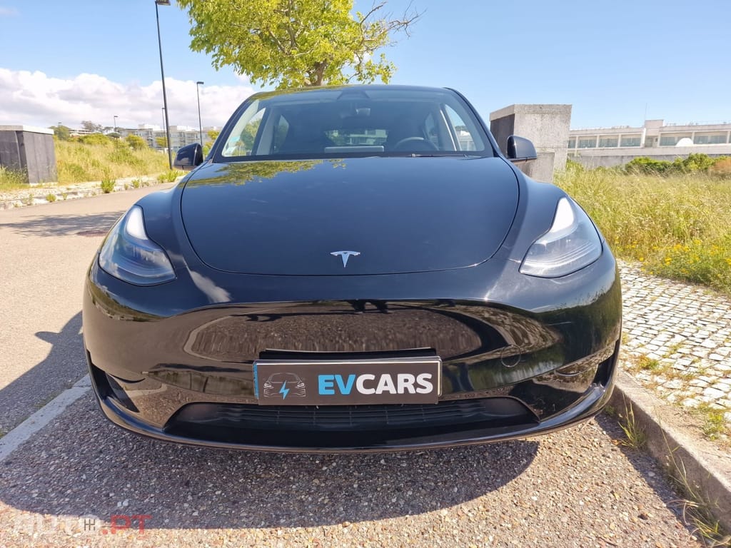 Tesla Model Y RWD