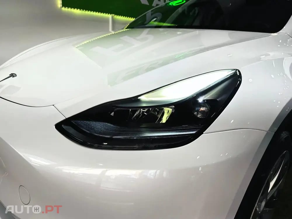 Tesla Model Y Standard