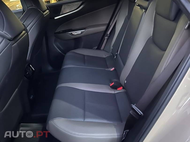 Lexus NX Executive