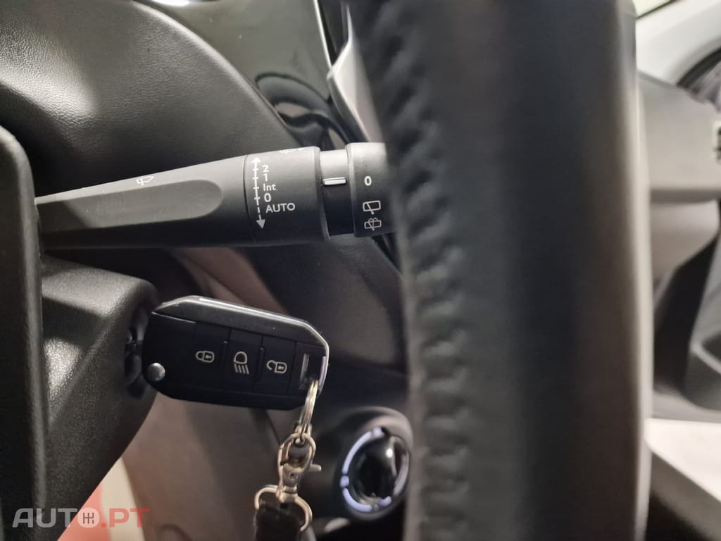 Peugeot 208 1.5 BLUEHDI 102CV SIGNATURE GPS CAMARA TRASEIRA
