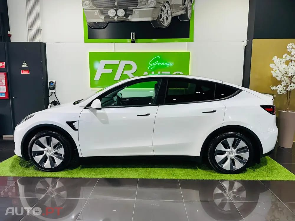 Tesla Model Y Standard