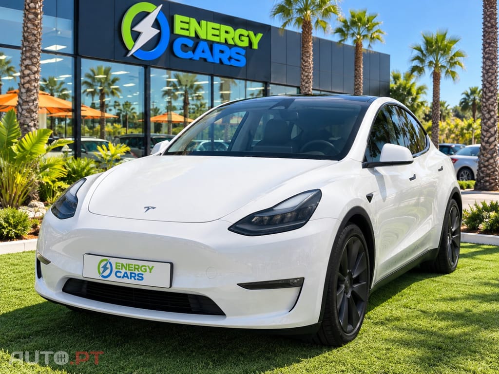 Tesla Model Y Long Range Tração Integral
