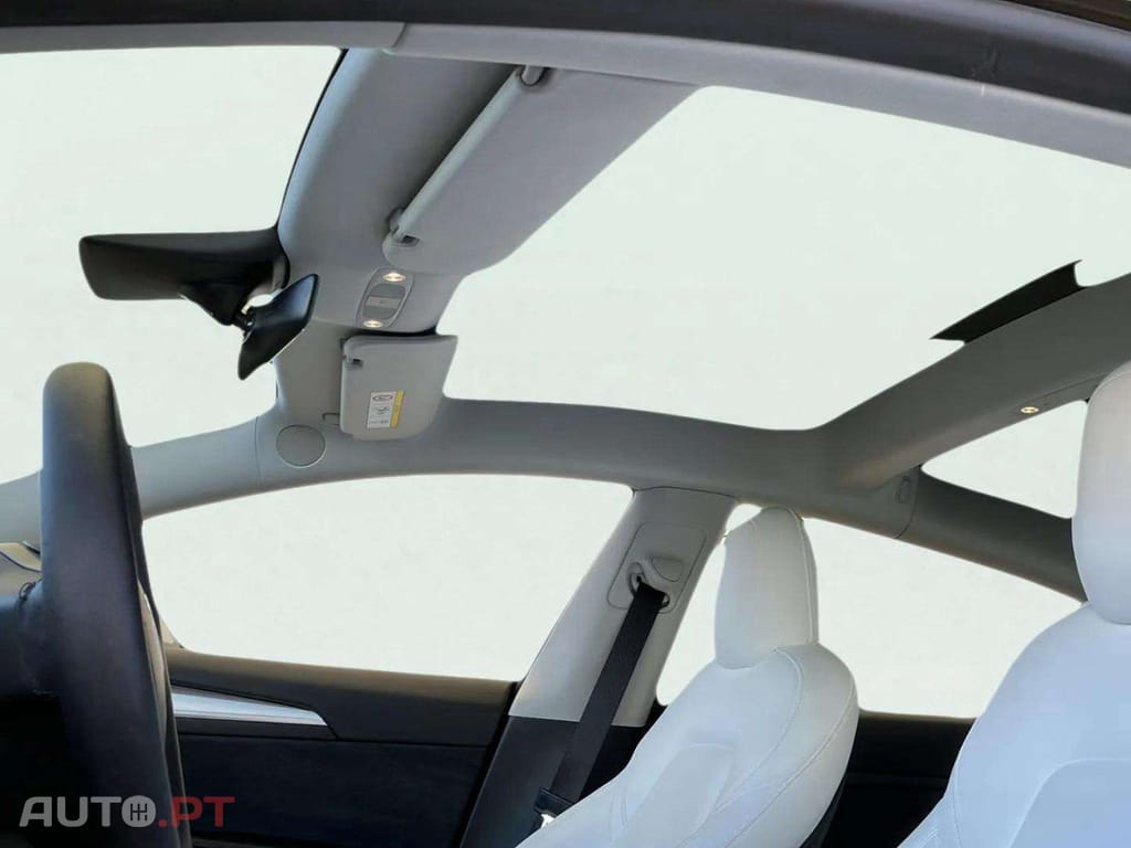 Tesla Model 3 Performance Dual Motor AWD