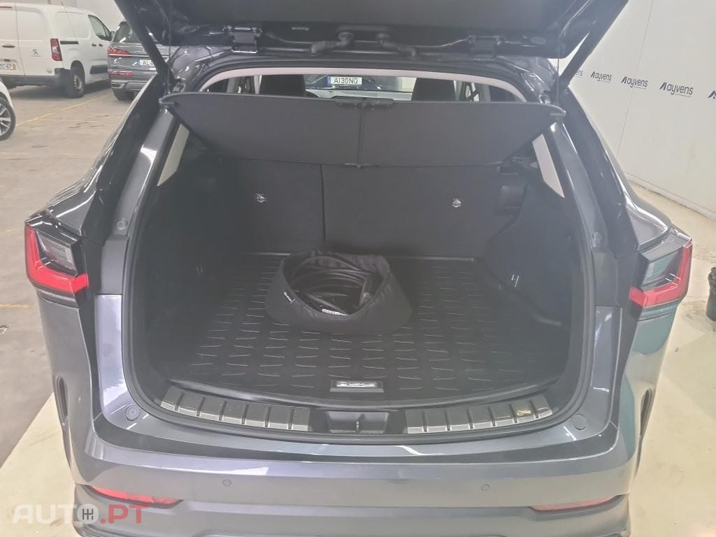 Lexus NX Executive