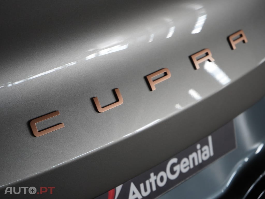 Cupra Tavascan 77 kWh Endurance