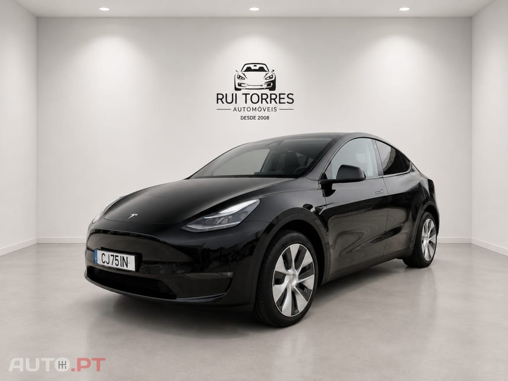 Tesla Model Y Long Range Dual Motor AWD