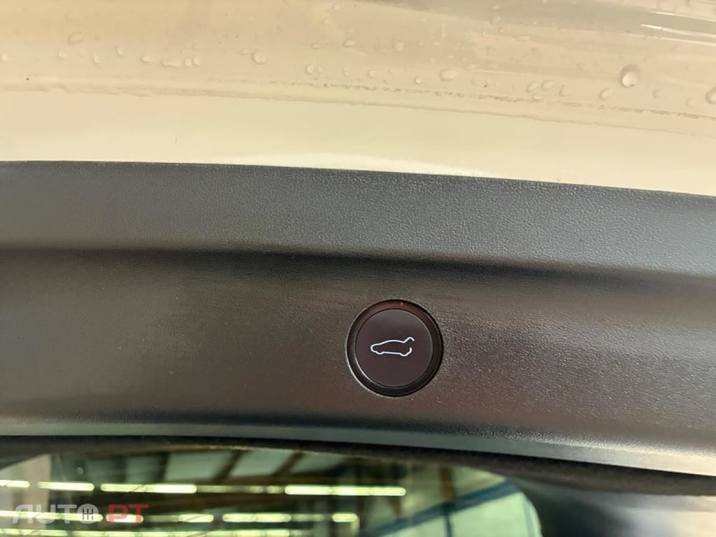 Tesla Model Y Standard RWD