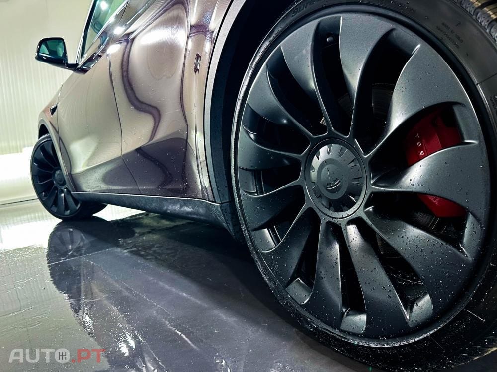 Tesla Model Y Performance Dual Motor AWD