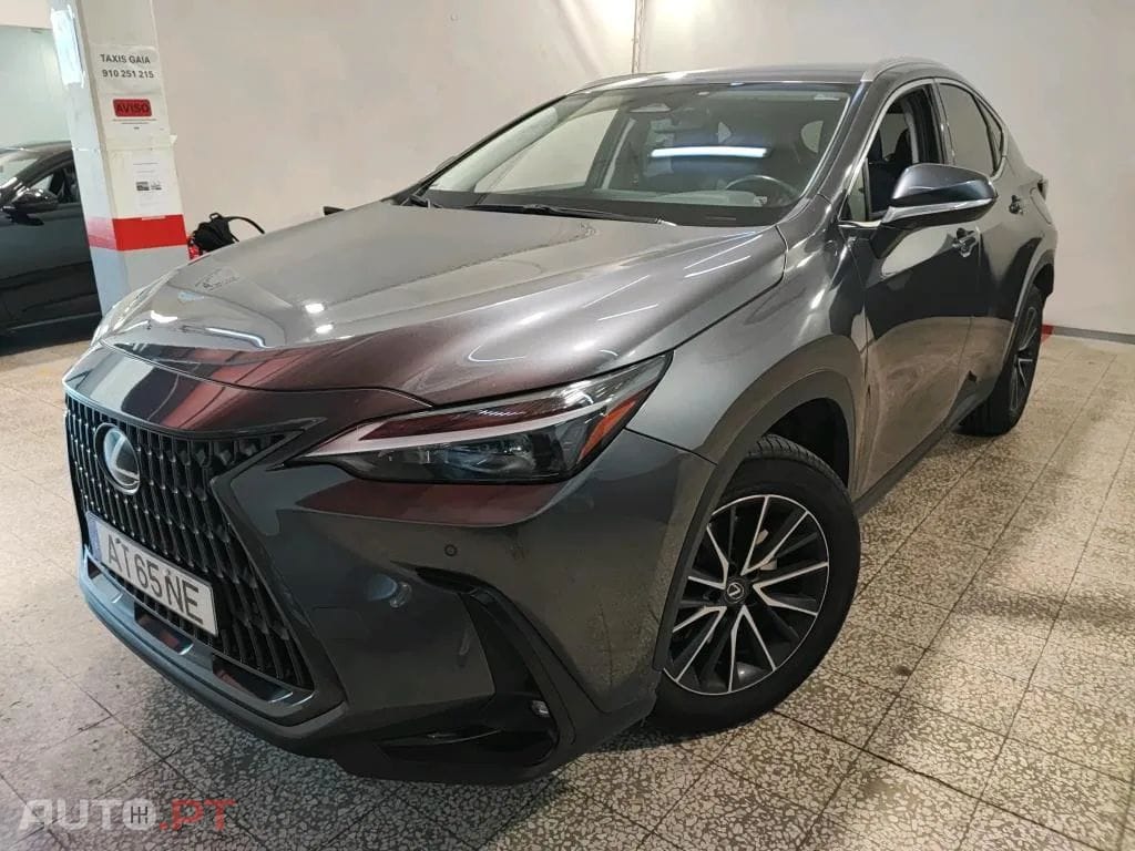 Lexus NX Executive