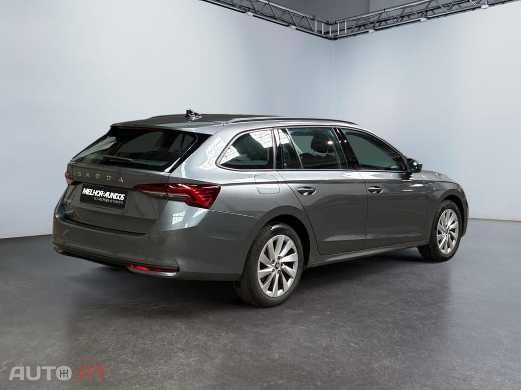 Skoda Octavia Break 2.0 TDI Selection DSG