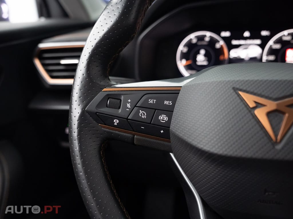 Cupra Formentor 2.0 TDI