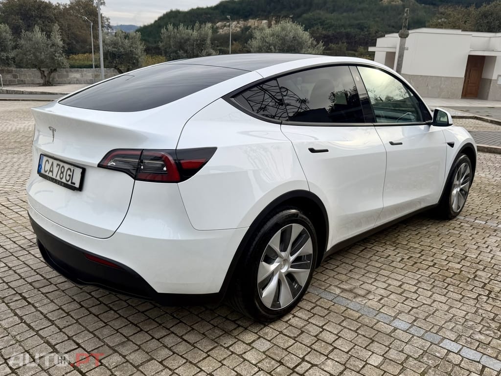 Tesla Model Y Standard
