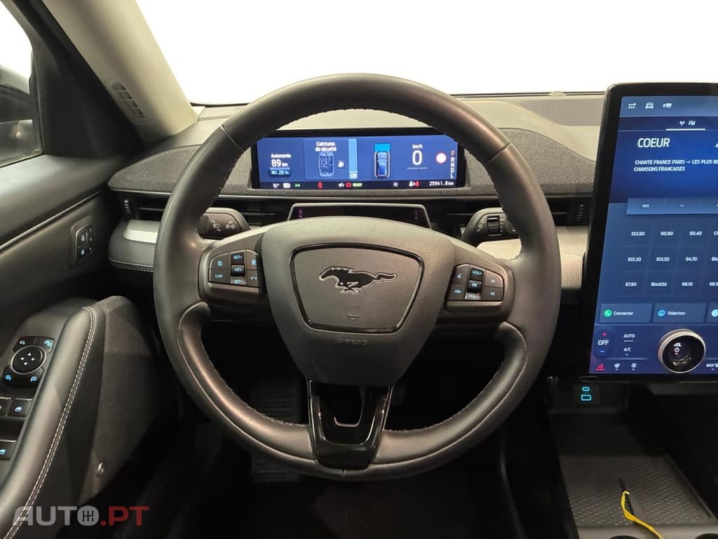 Ford Mustang Mach-E Standard Range