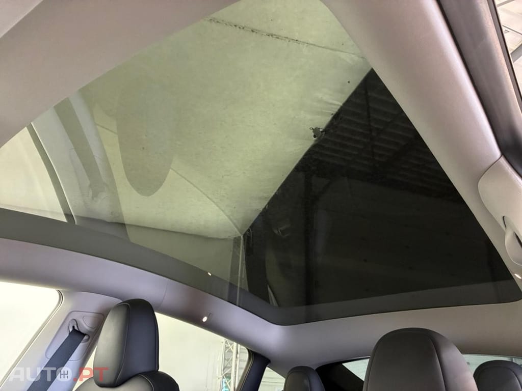 Tesla Model Y Standard RWD