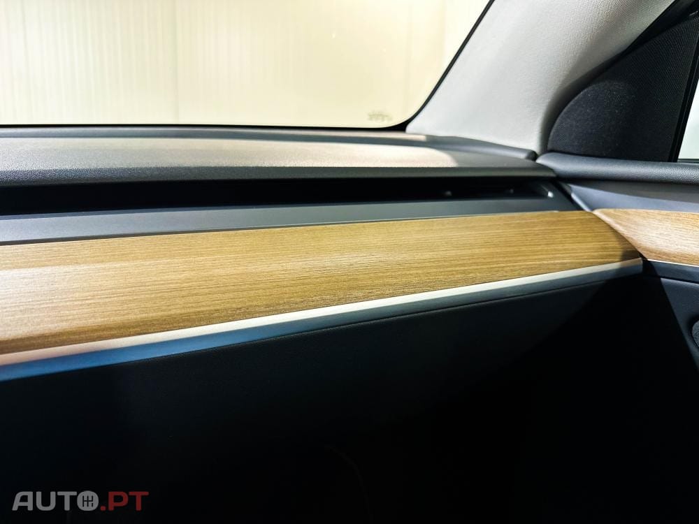 Tesla Model Y Standard