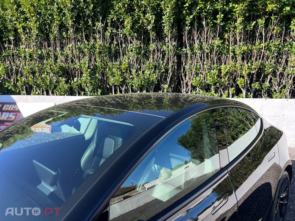 Tesla Model 3 Long-Range Dual Motor AWD