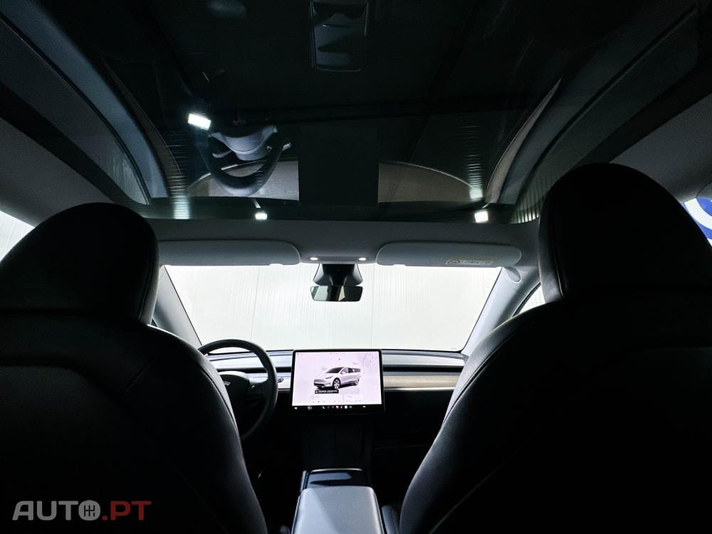 Tesla Model Y Standard