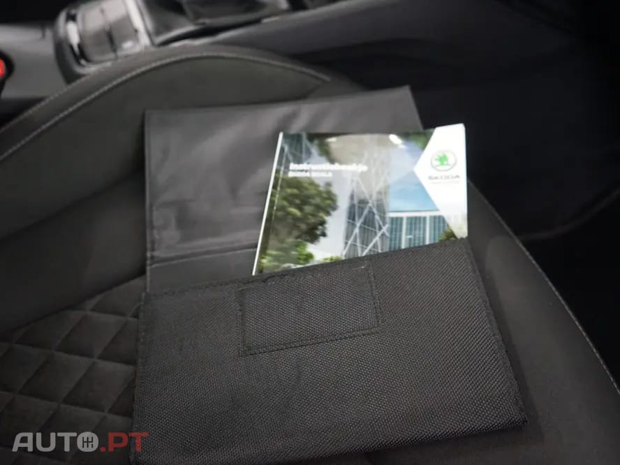 Skoda Scala sport business