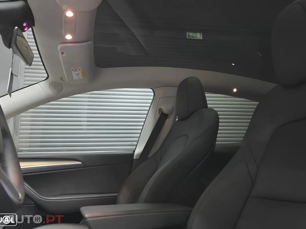 Tesla Model Y Standard