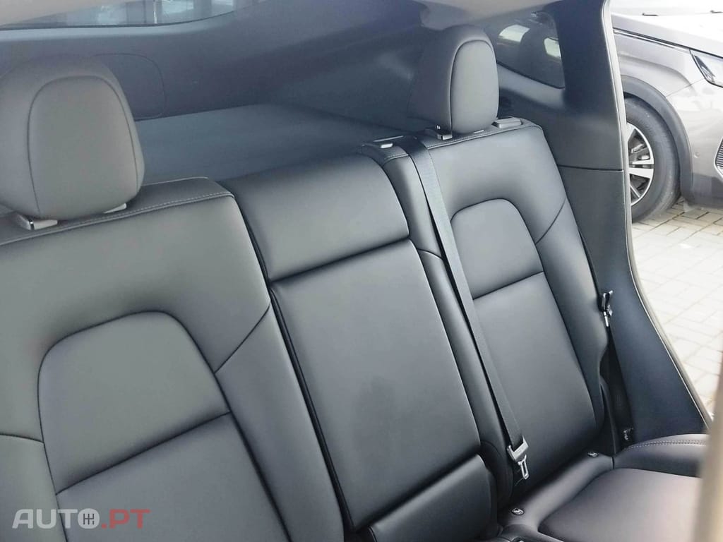 Tesla Model Y Tração Traseira