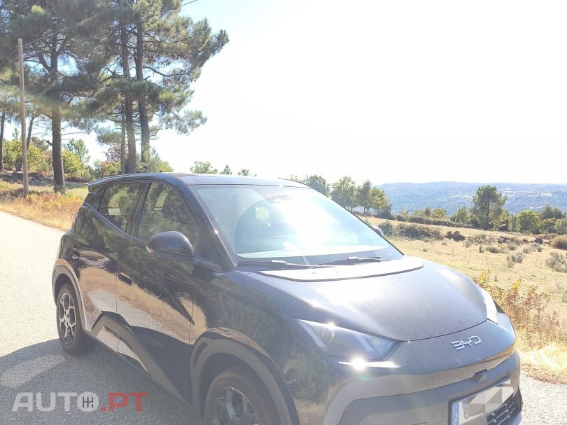 BYD Dolphin Surf 43.2 kWh Boost